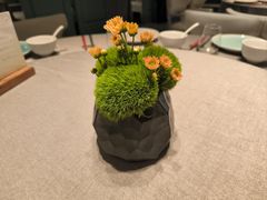 -南堂馆·新川菜(春熙路店)