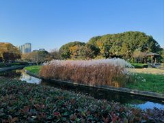 -蠡湖大桥公园