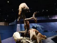 -武汉园博园(武汉自然博物馆)