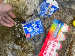 -沣峪口
