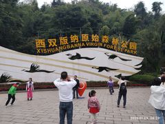 -西双版纳原始森林公园
