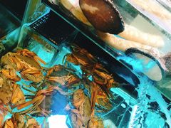-金翠皇宫粤菜·点心·海鲜(科技园店)