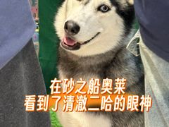 -砂之船奥特莱斯(合肥店)