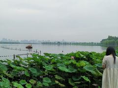 -杭州西湖风景名胜区-北街寻梦