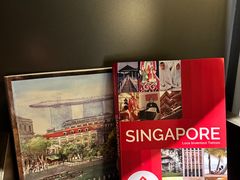 -新加坡瑞士史丹福酒店