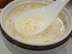 -中国城银都鱼翅酒楼