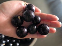 -瑞幸咖啡(生命科学产业园店)