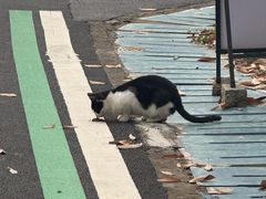 -宝界山林公园
