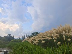 -西昌邛海湿地