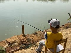 -武汉开心果园农业发展有限公司