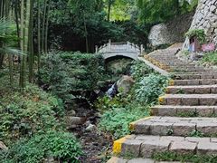 -莫干山风景区