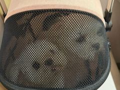 -博特宠物医院24h犬猫全科.骨科·异宠