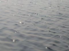 -滆湖低碳生态公园