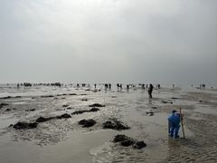 -北海金海湾红树林生态旅游区