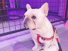 -嗨翻Hi-Fun竞技主题乐园·蹦床亲子生日轰趴(国光1937店)