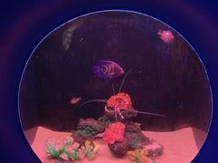 -欢乐海岸海洋奇梦馆