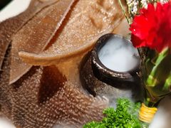-九鼎轩脆毛肚火锅(三钢里店)