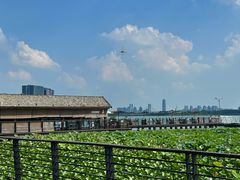 -瓦库茶馆37号(北龙湖店)