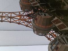 -影汇之星8字形摩天轮