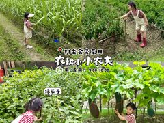 -乌村