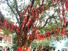 -南国桃园旅游度假区