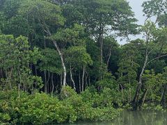 -东寨港红树林旅游区