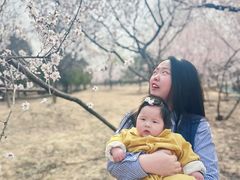-绿堤公园