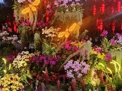-天河体育中心