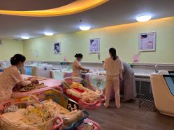 -生命加•Q考拉月子会所(玫瑰园店)