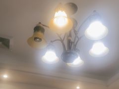 -沈家花园如皋菜(君御豪庭店)