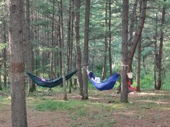 -帽儿山国家森林公园