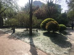 -唐城墙遗址公园