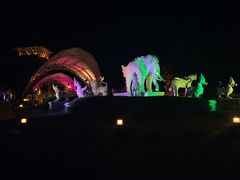 -清迈夜间动物园