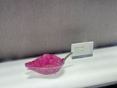 -景德镇中国陶瓷博物馆