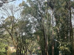 -南国桃园旅游度假区