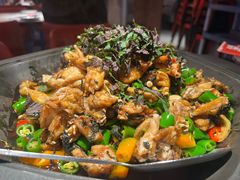 -蛙来哒(龙华壹方天地店)