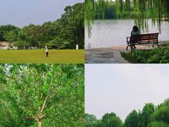 -海淀公园