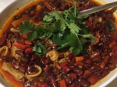 精品毛血旺-华豫川酒家(双子塔店)