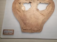 -中国农业博物馆