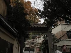 -北极阁公园