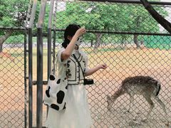 -西安秦岭野生动物园