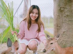 -鹿境梅花鹿生态园区