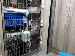 -半岛宠物医院24小时(白果林店)