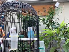 -丽江庭院之丽江往事(安定门店)