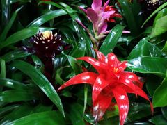 -三旗百汇商品城