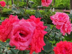 -无锡市市民中心