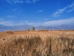 -野鸭湖国家湿地公园