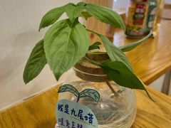 -呷贺盐酥鸡(抄纸巷店)