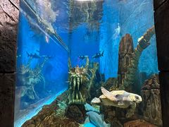 -波塞冬旅游度假区