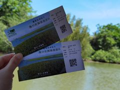 -东寨港红树林旅游区